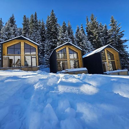 Гостевой дом Tumar Mountain Каракол Экстерьер фото